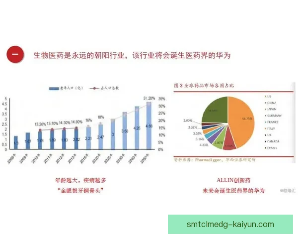 梅赫伦未来规划的目标与发展策略分析